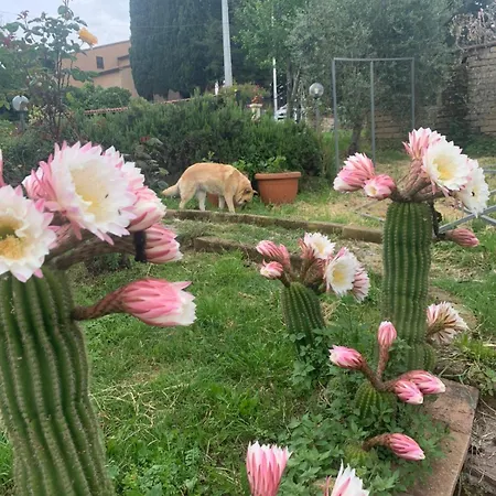 Villa Collina Vila
